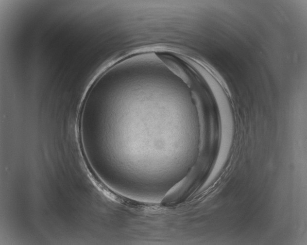 X0000083640813200702121122