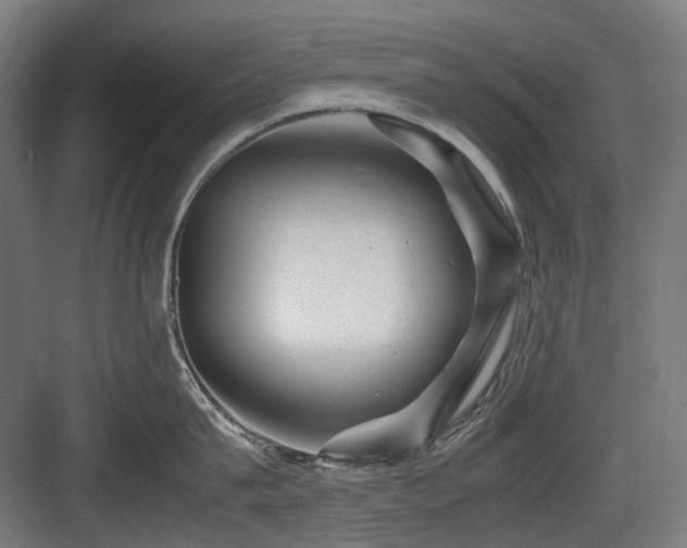 X0000083640815200702121122
