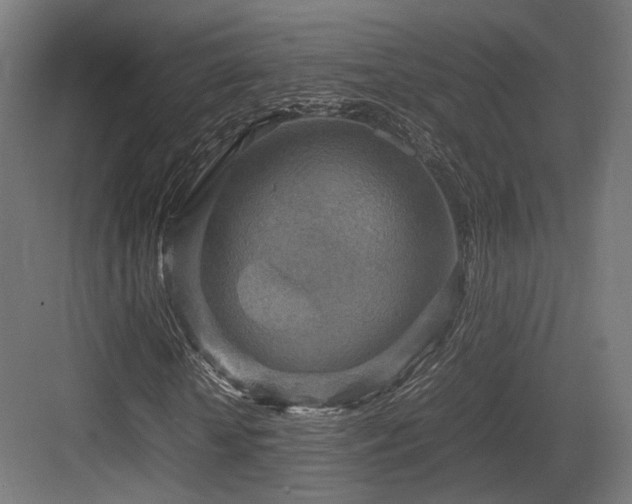 X0000083640818200702121121