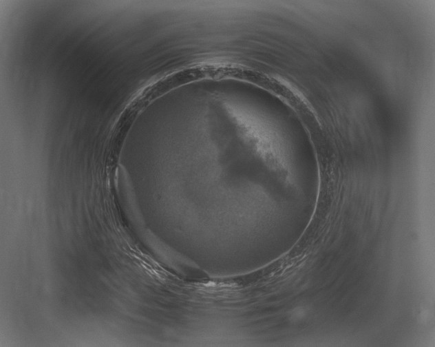 X0000083640823200702121121