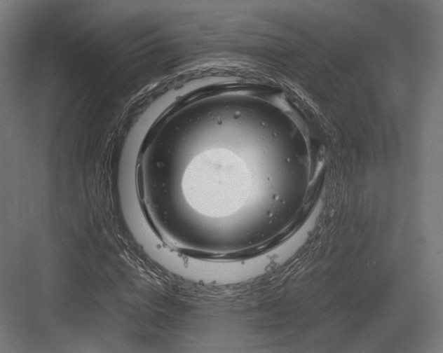 X0000083640824200702121121