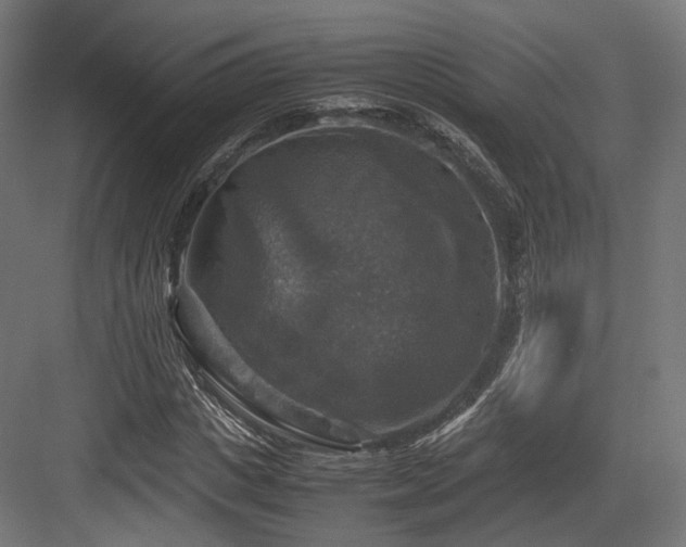X0000083640825200702121121