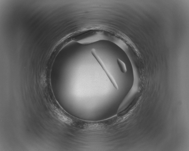 X0000083640826200702121122