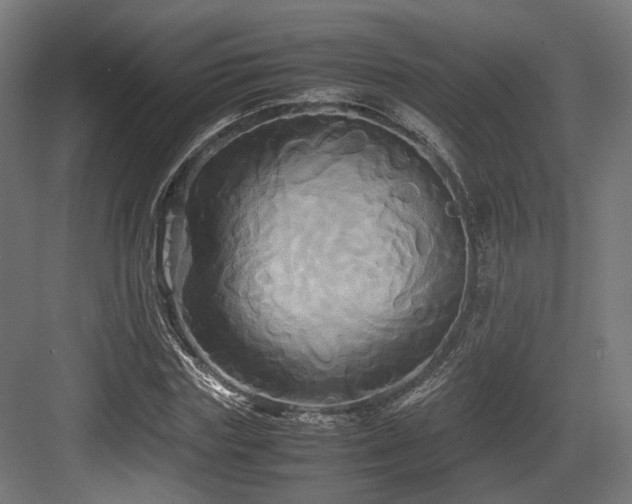 X0000083640827200702121122