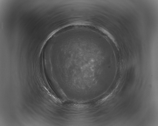 X0000083640829200702121122