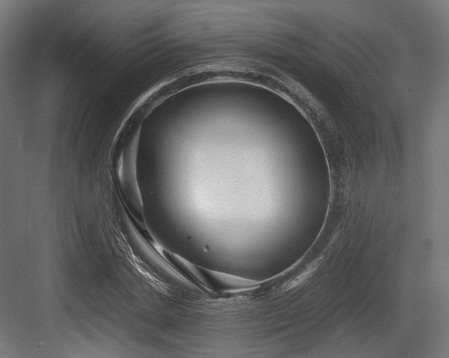 X0000083640830200702121122