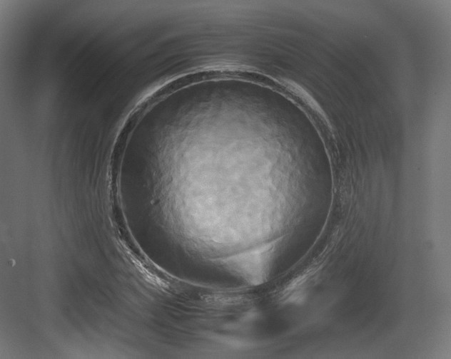 X0000083640831200702121122