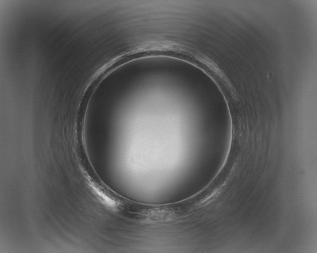 X0000083640834200702121122