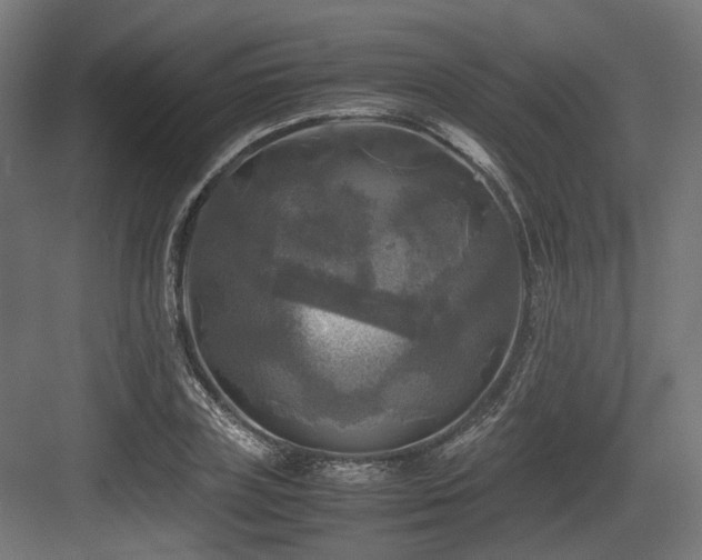 X0000083640835200702121122