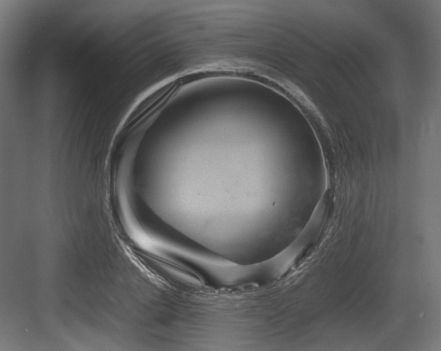 X0000083640838200702121122