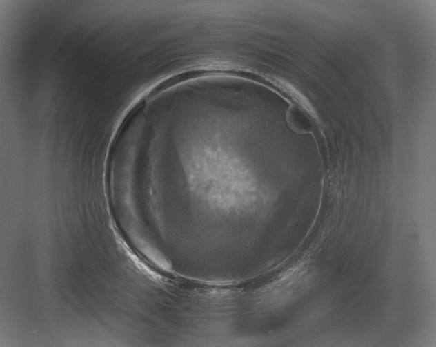 X0000083640839200702121122