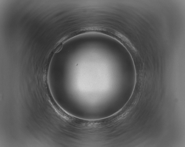 X0000083640841200702121122