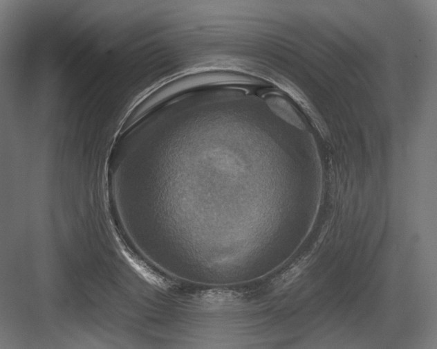 X0000083640842200702121122