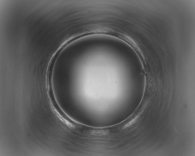 X0000083640843200702121122