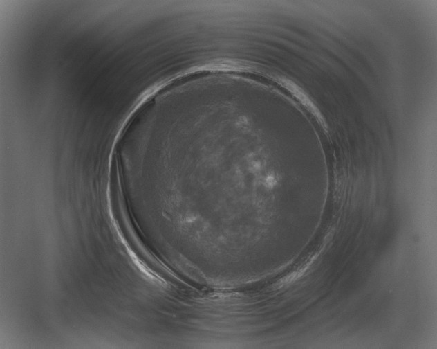 X0000083640845200702121122