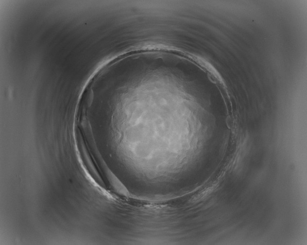 X0000083640847200702121122