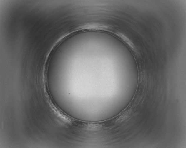 X0000083640848200702121122