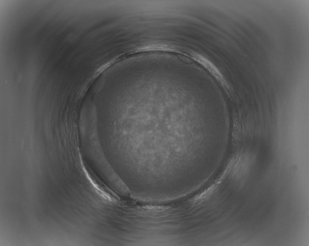X0000083640849200702121122