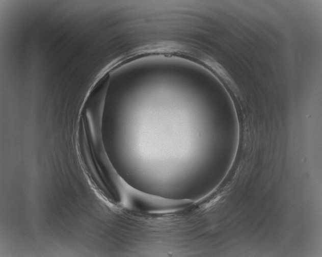 X0000083640850200702121122