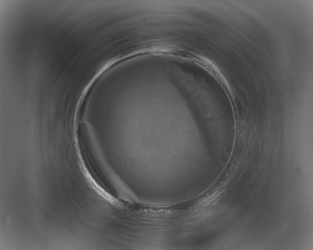 X0000083640851200702121122