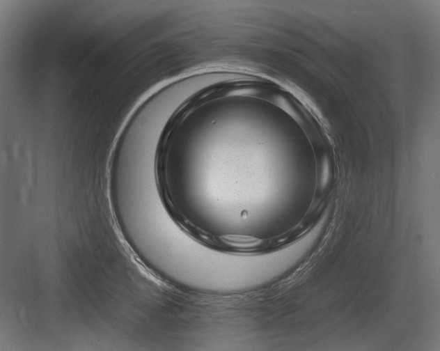 X0000083640854200702121122