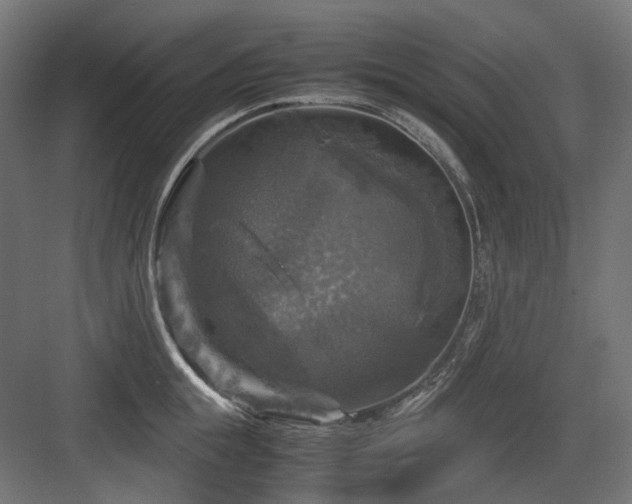 X0000083640855200702121122