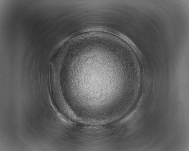 X0000083640857200702121122