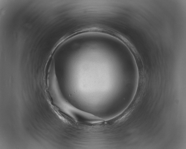 X0000083640858200702121122