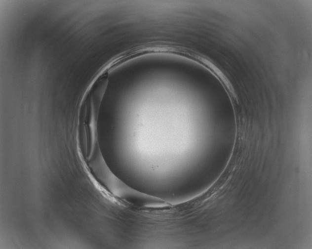 X0000083640861200702121122