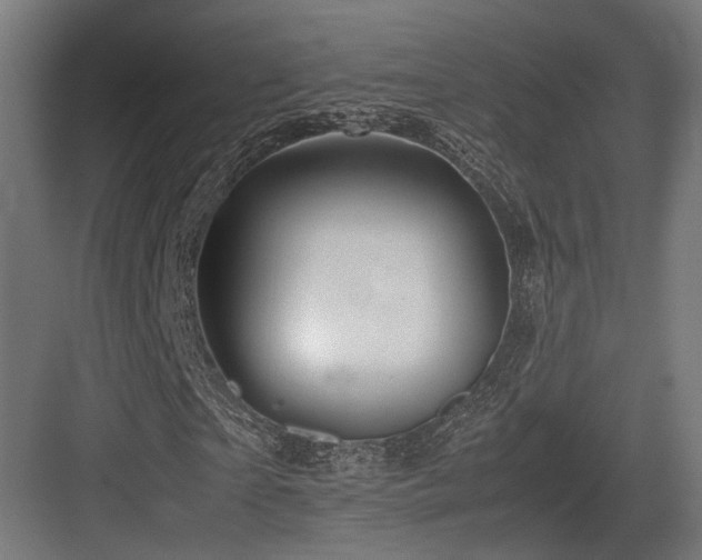X0000083640865200702121121