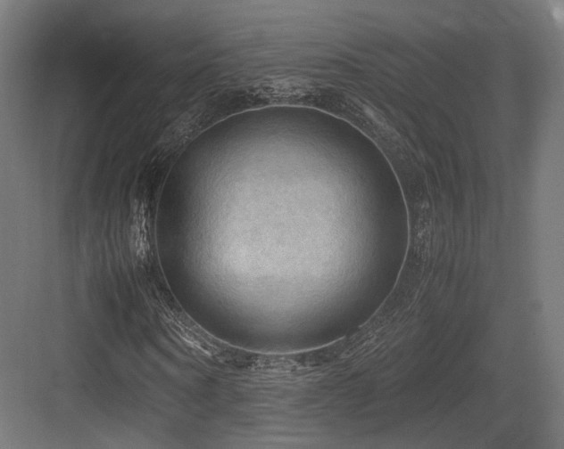 X0000083640866200702121121