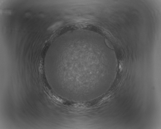 X0000083640867200702121121