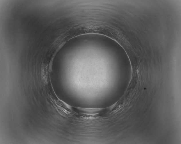 X0000083640868200702121121