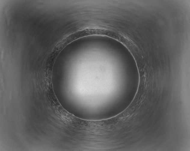 X0000083640870200702121121