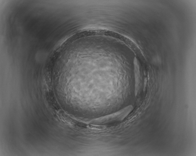 X0000083640871200702121121