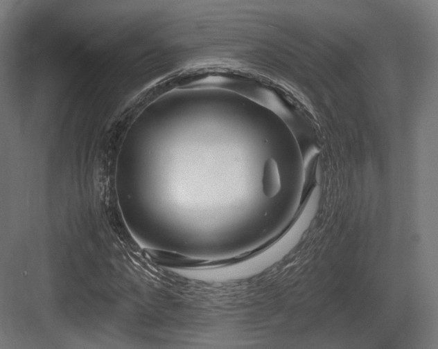 X0000083640872200702121121