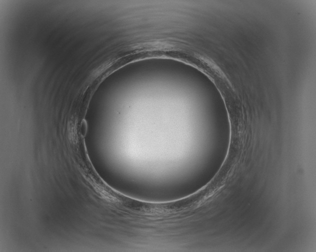X0000083640873200702121121