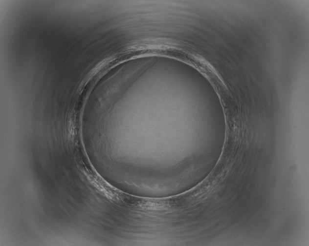 X0000083640874200702121121