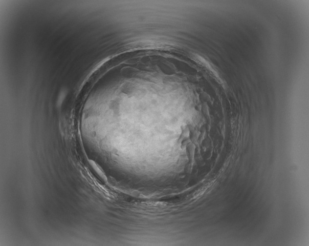 X0000083640875200702121121