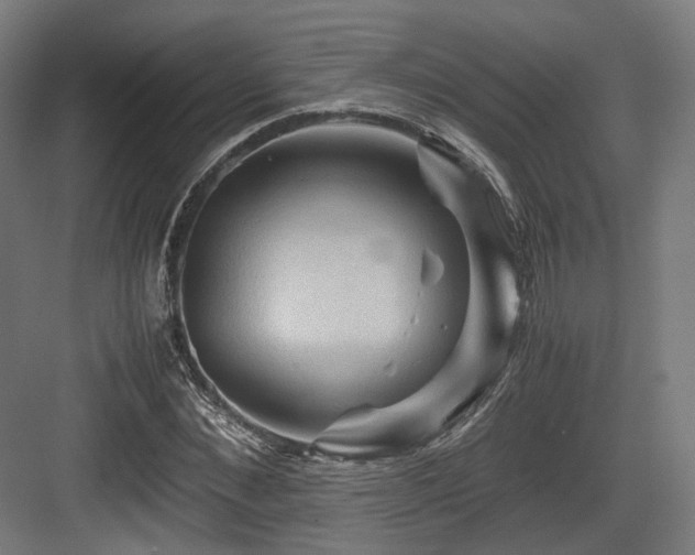 X0000083640876200702121121