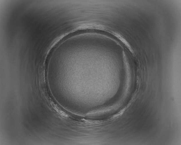 X0000083640877200702121121