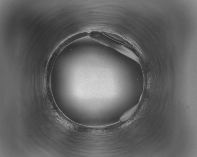X0000083640880200702121121