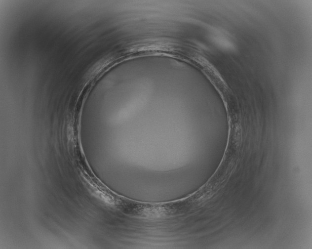 X0000083640882200702121121