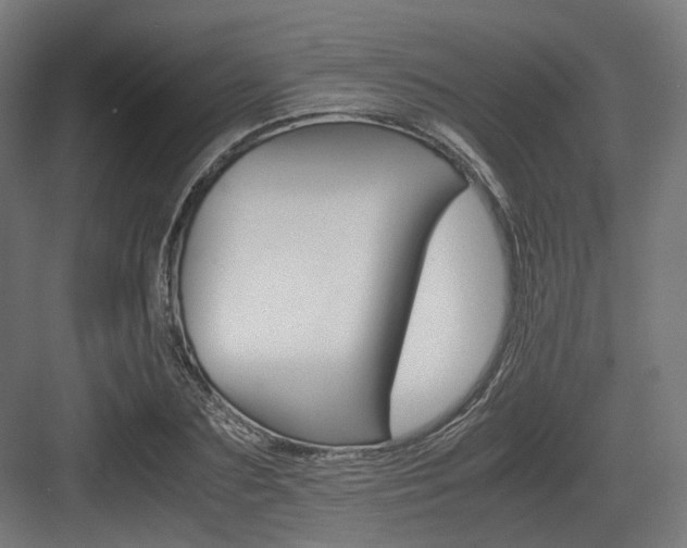 X0000083640883200702121121