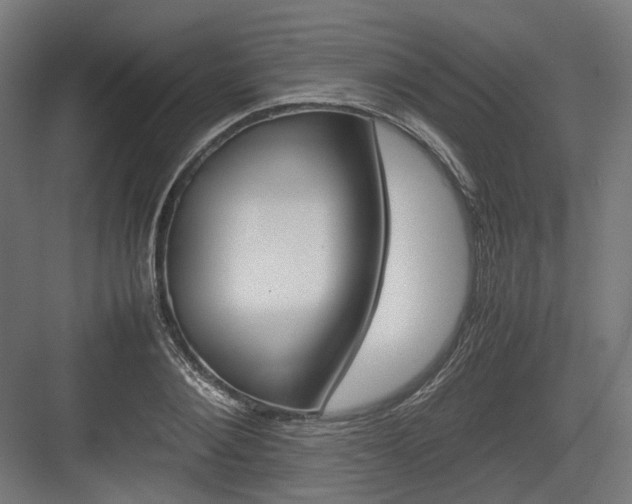X0000083640884200702121121
