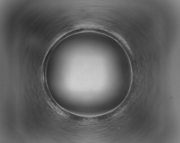 X0000083640887200702121121
