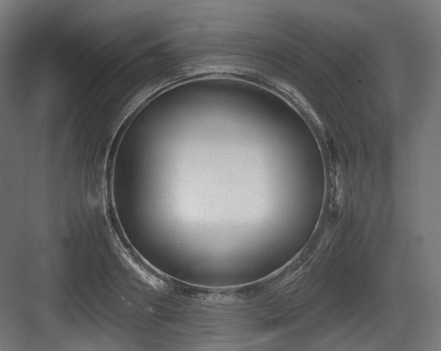 X0000083640890200702121121