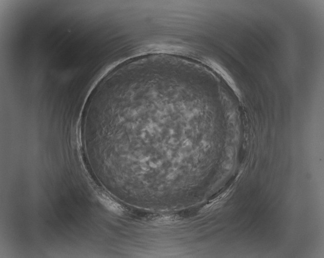 X0000083640891200702121121
