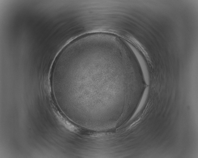 X0000083640892200702121121