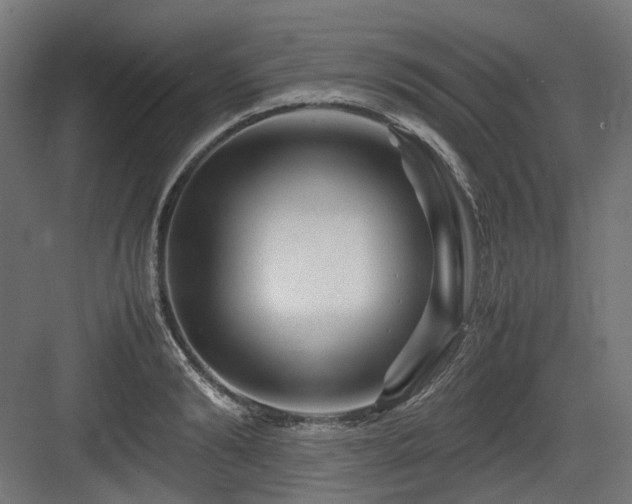 X0000083640894200702121121